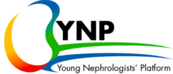 YNP Mentorship Programme
